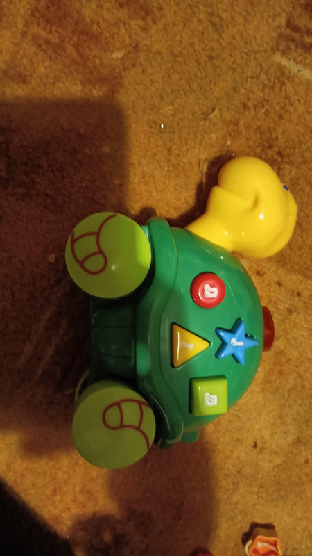 Želvička na kolečkách, 