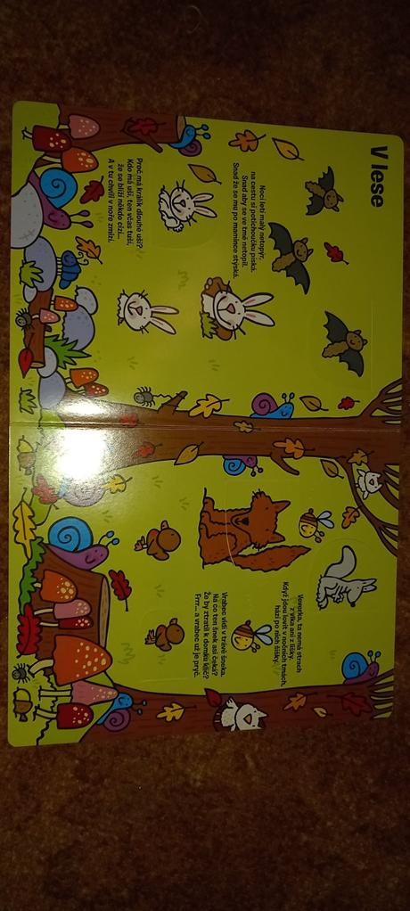 Kniha - najdi zvířátka,