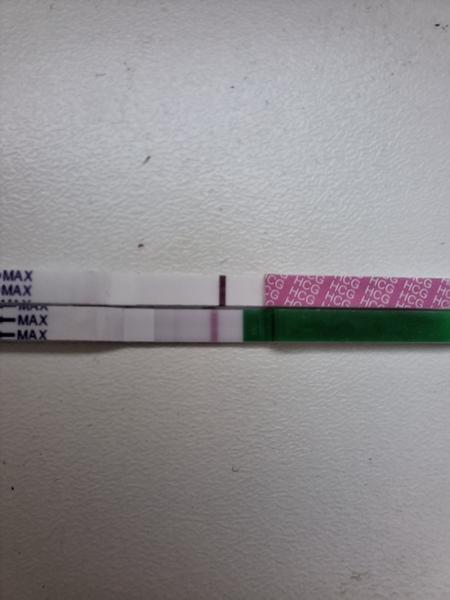 Je šance na těhotenství při negativních testech?