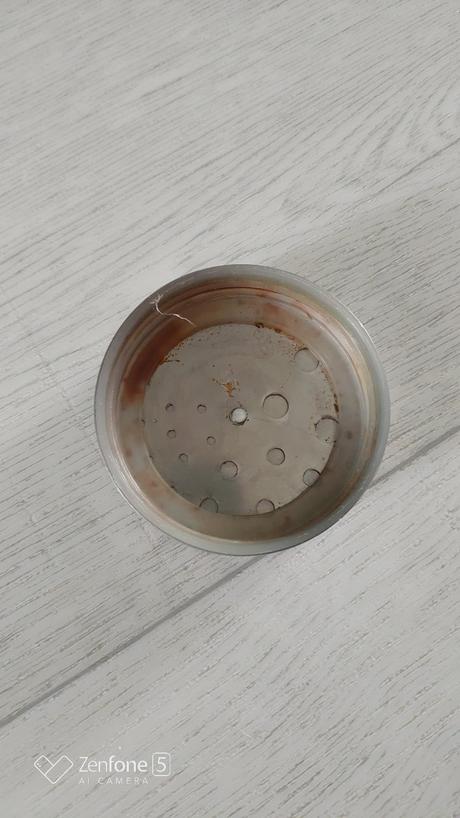 Magnetické kořenky,