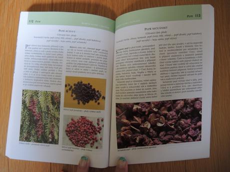 Koření známé i neznámé, 