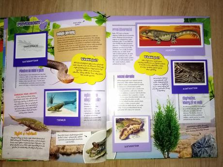 Knihy pravěk a zvířata samolepková, 