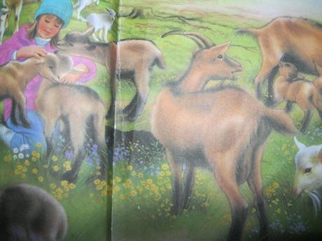 Knížka máme rádi zvířátka,