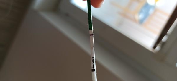 9 měsíců snažení, asi už blázním. Vidíte něco?