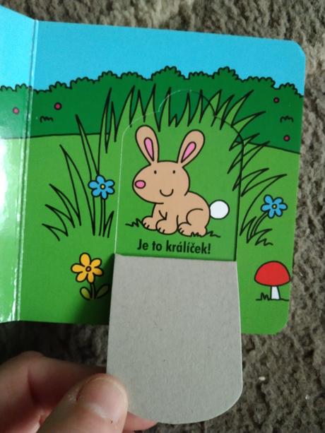 Leporelo s otviracími okénky, 