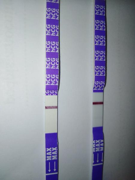 Ovitrelle 19.1. Mohlo by se zadařit?