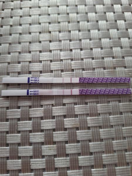 Ovulace. Je pozitivní?