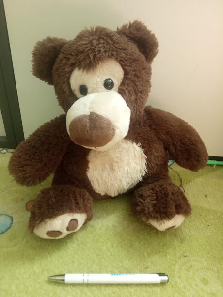Plyšák medvěd, 