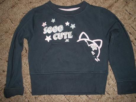 Mikina s kočičkou, 104