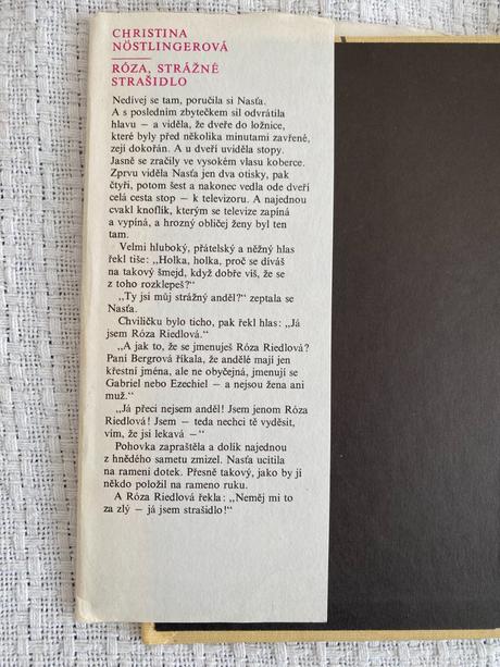 Róza, strážné strašidlo - pro čtenáře od 10 let,
