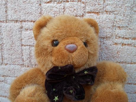 Hnědý medvěd plyšový, 