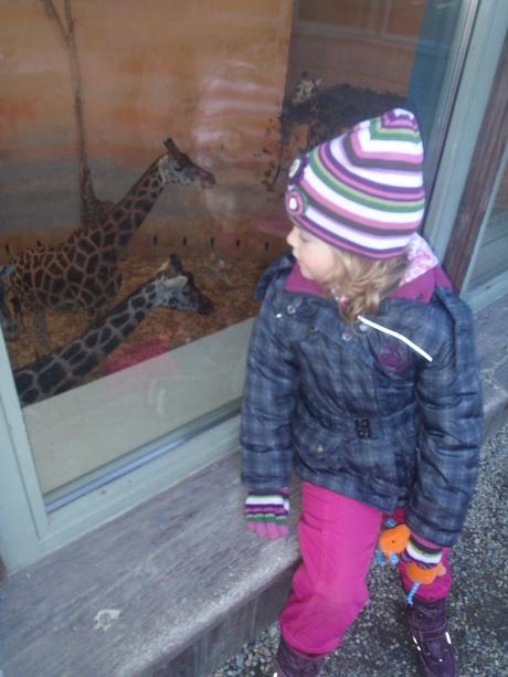 Prouhatá čepice s kytkou a rukavice 110/116, h&m,110