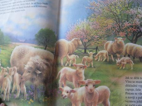 Knížka máme rádi zvířátka,
