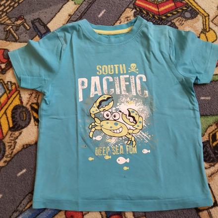 Tyrkysové tričko, lupilu,110