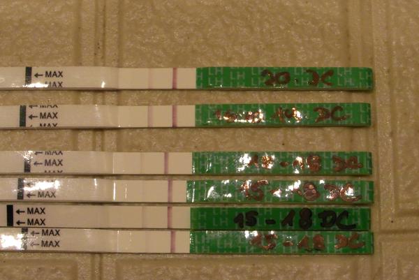 Je můj ovulační test pozitivní?