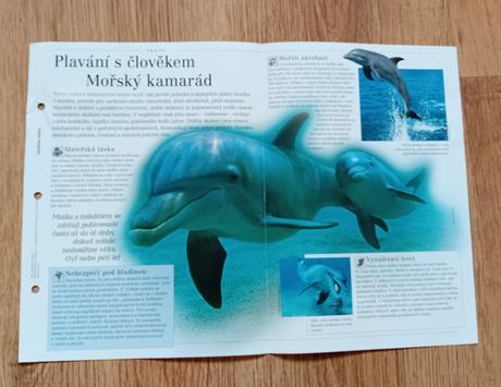 Informační letáky pro školáky,
