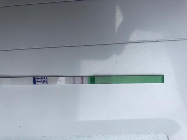 Ovulační test 6. DPO. Je možné, že to vyšlo?