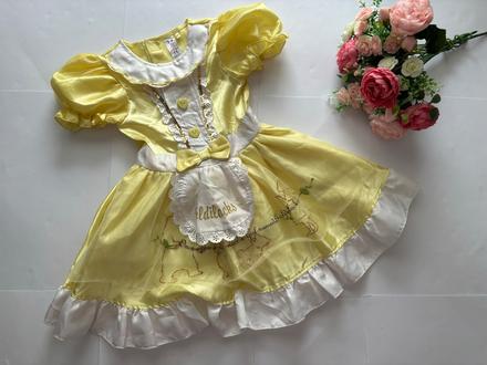 An11/ kostým zlatovlaska - v.3/4 roky, 