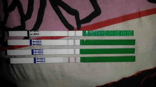 Střídavě pozitivní ovulační test a fialový Mamatest