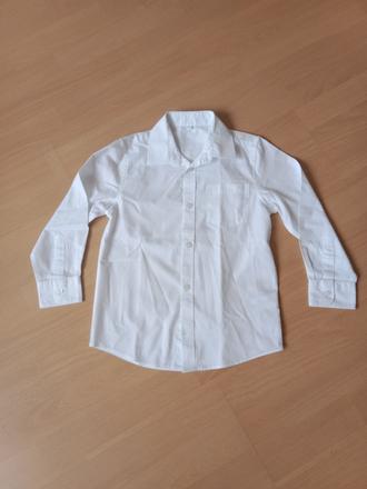 Kosile, palomino,116