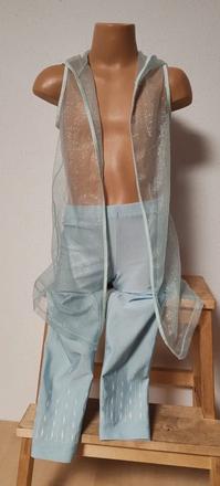 Ledové království,