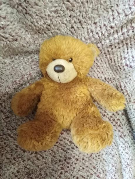 Plyšový medvídek, 