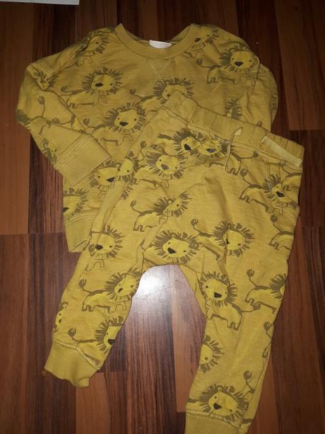 Teolakova souprava se lvi 86 next, next,86