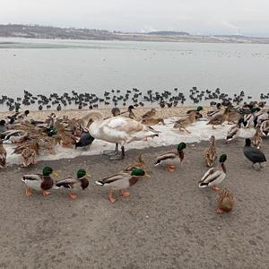 @marketa11112 na procházce ☺️