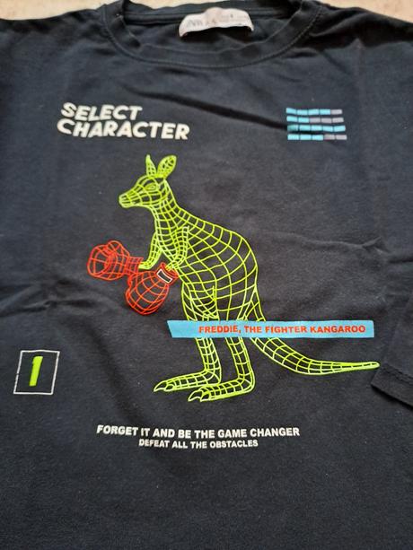 Trička 110/116 zara , lindex, h&m, zara,110