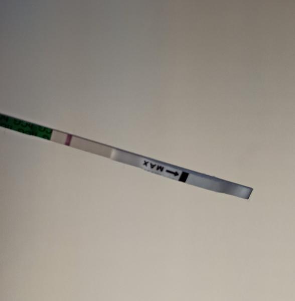 9 měsíců snažení, asi už blázním. Vidíte něco?