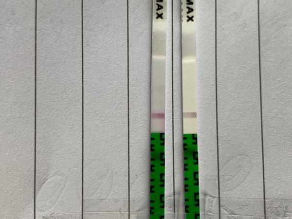 Ovulační test před MS. Co myslíte?