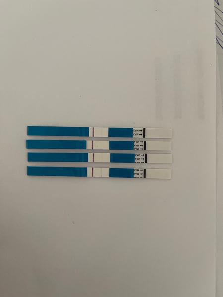 13. DP Ovitrelle - těhotenský test. Zesílí?