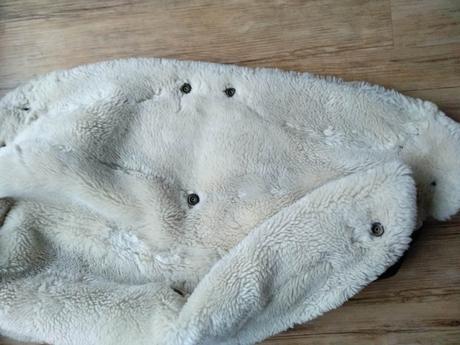 Rukávník teutonia, teutonia