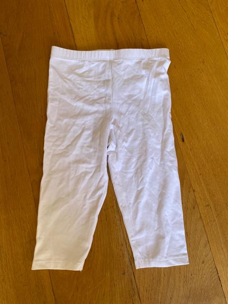 Leginy, tcm,122