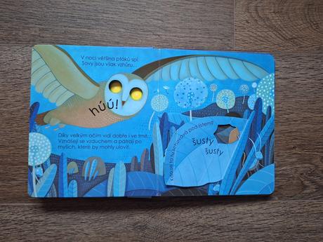 Co se děje v noci - knížka pro děti, svojtka, 