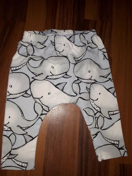 Leginy se žraloky 62 next, next,62