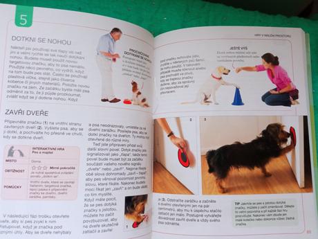 Hry pro psí hlavičky, 