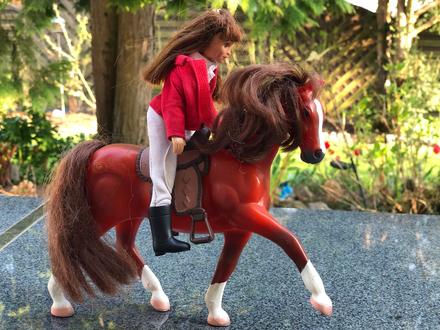 Hnedo-zrzavy kun s panenkou, 