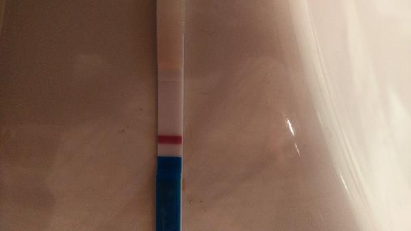 Těhotenský test Dr. Max. Jedna čárka růžová, druhá bílá