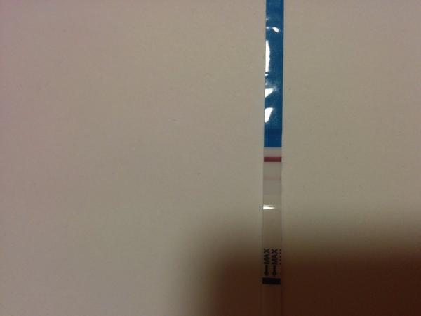 Různé intenzity čárek na těhotenských testech