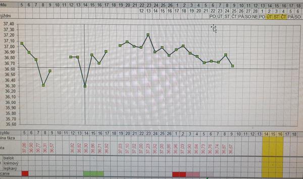 ... a zase ta bazální teplota. Má to také někdo tak pozvolné?