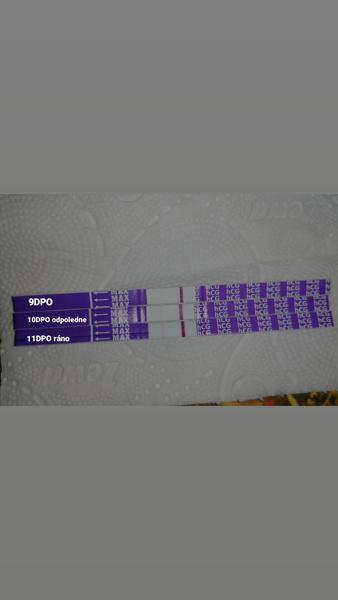 Sílí dostatečně?