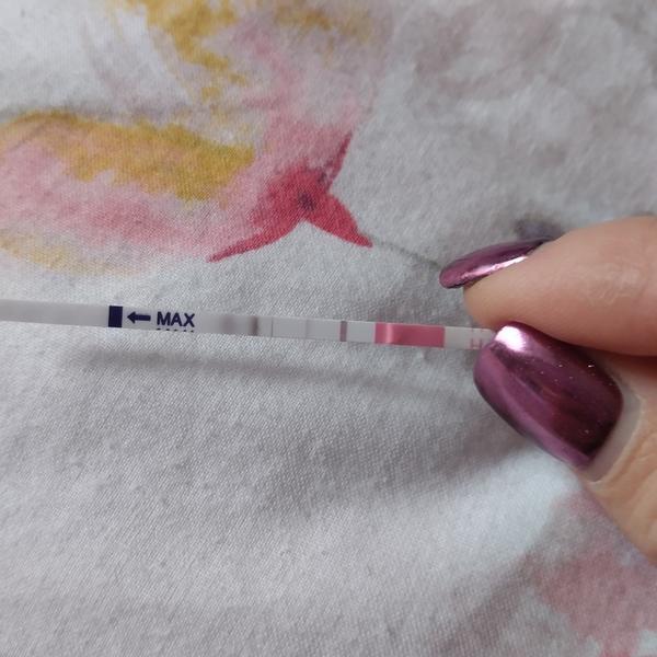 Jak poznat pozitivní ovulační test Pepino?