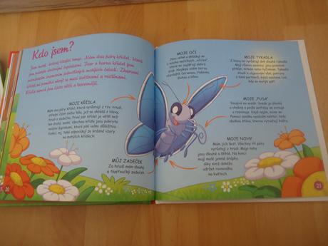 Knížky jelen,medvěd,motýl,