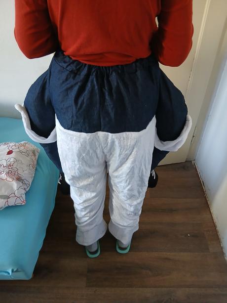 Kostým na karneval, 