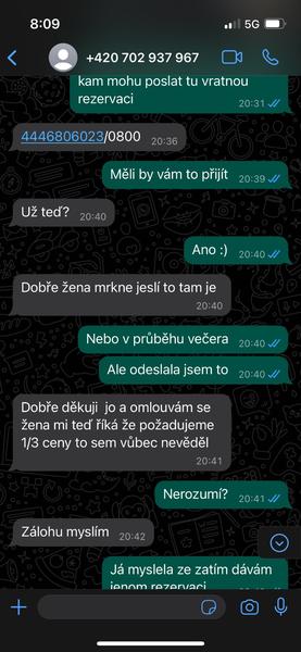 Podvodné nabídky stafordšírského bulteriéra. Jak se nenechat napálit?