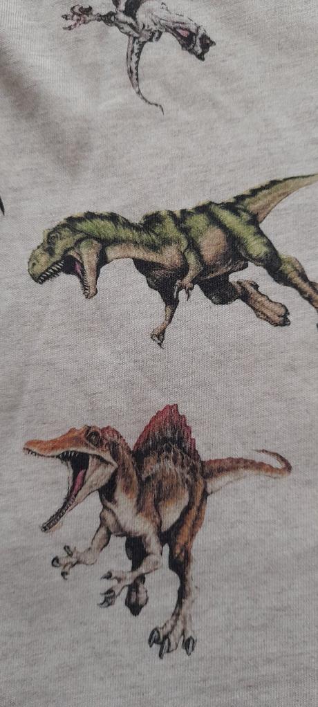 Melírové dinosauří tričko s dlouhým rukávem, h&m,128