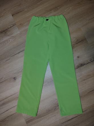 Dětské zimní softshellové kalhoty 152, 152