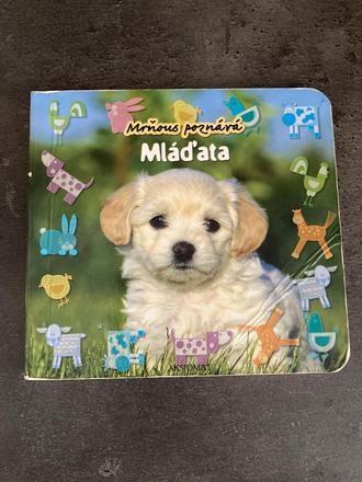 Kniha s říkankami,