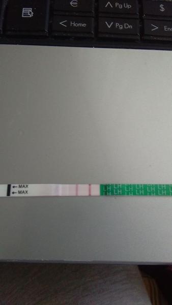 Duch na TT a pozitivní ovulační test. Můžu být těhu?